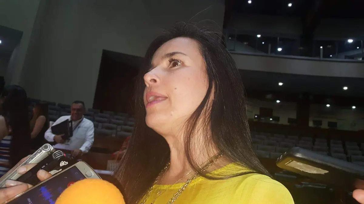 Mirza Flores
