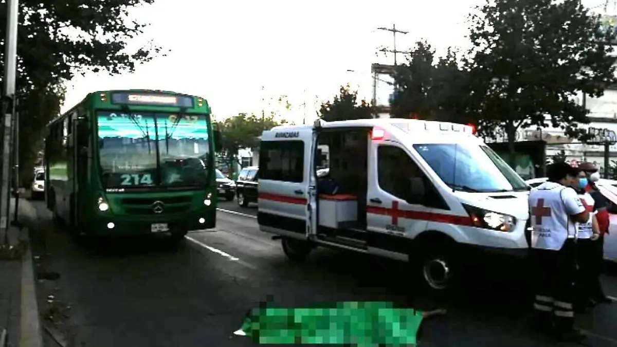 tercer atropellado_2021