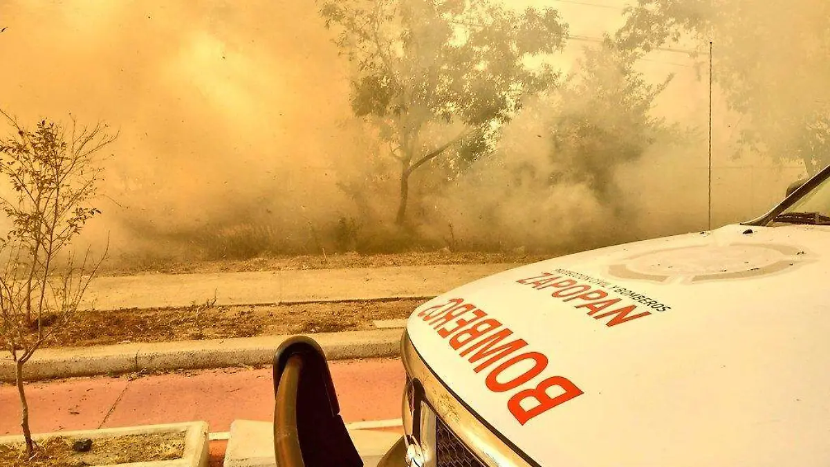 WhatsApp Image 2023-01-21 at 16.47.30