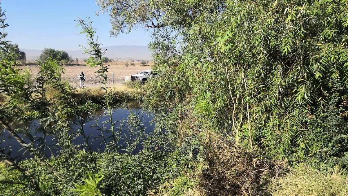 cuerpos-tlajomulco-1