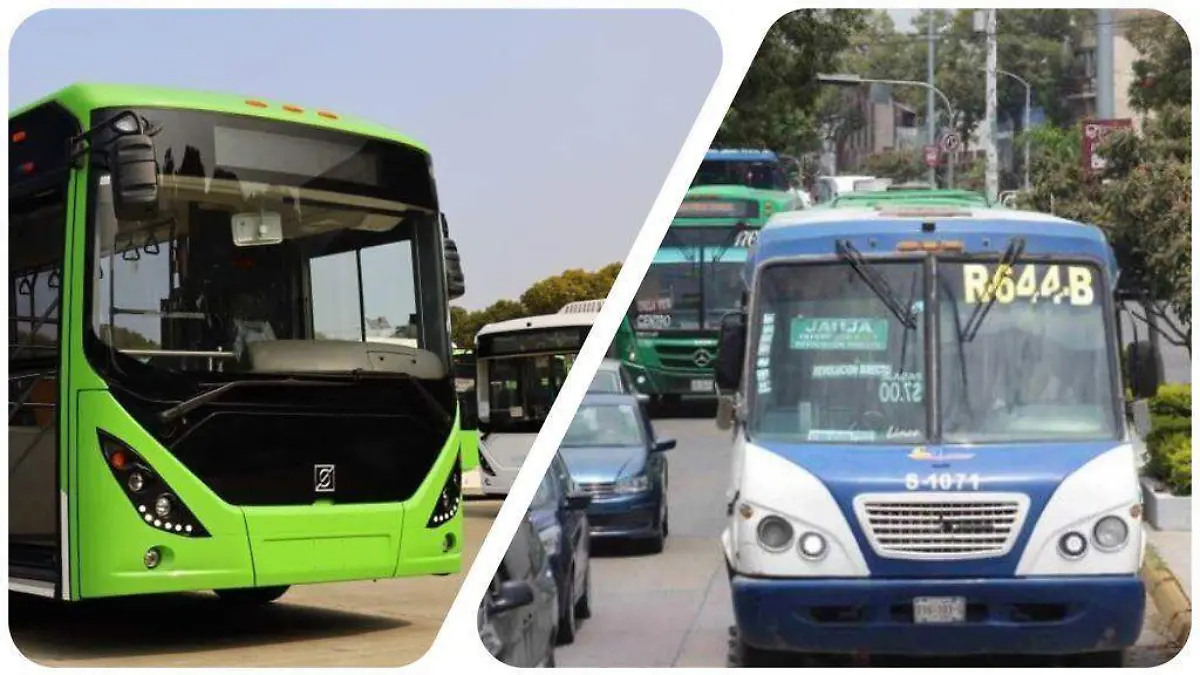 renovación transporte-público