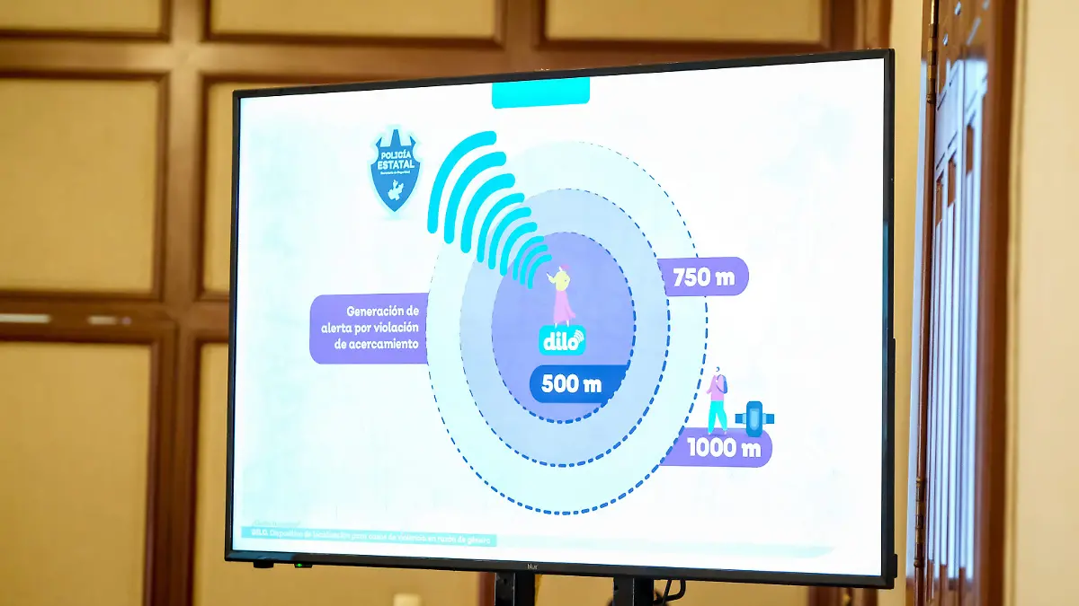 52500414854_964b255b43_o