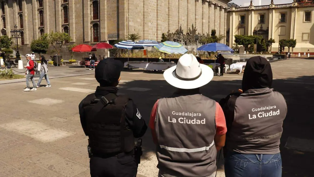 Inspectores