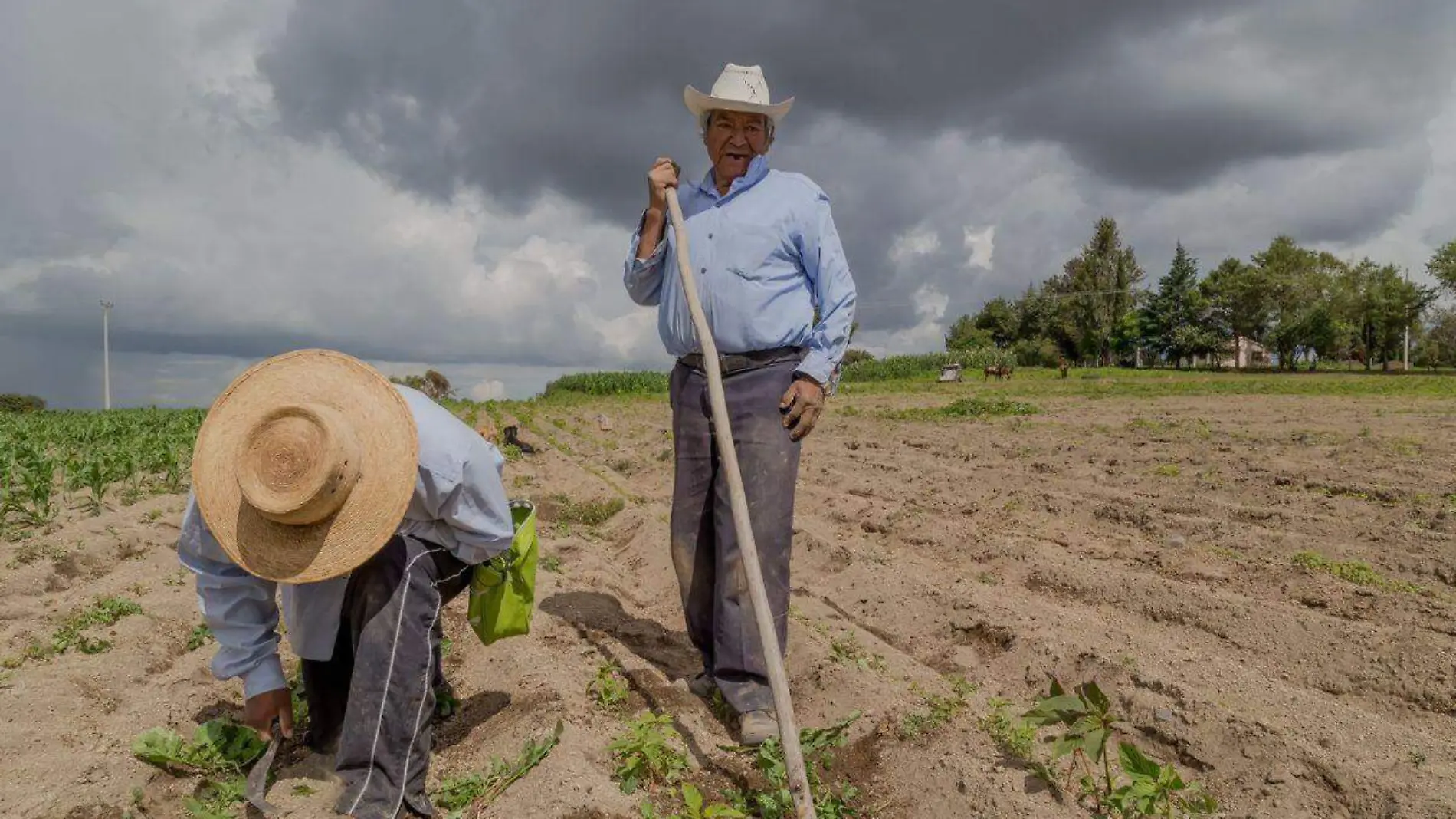 Agricultores