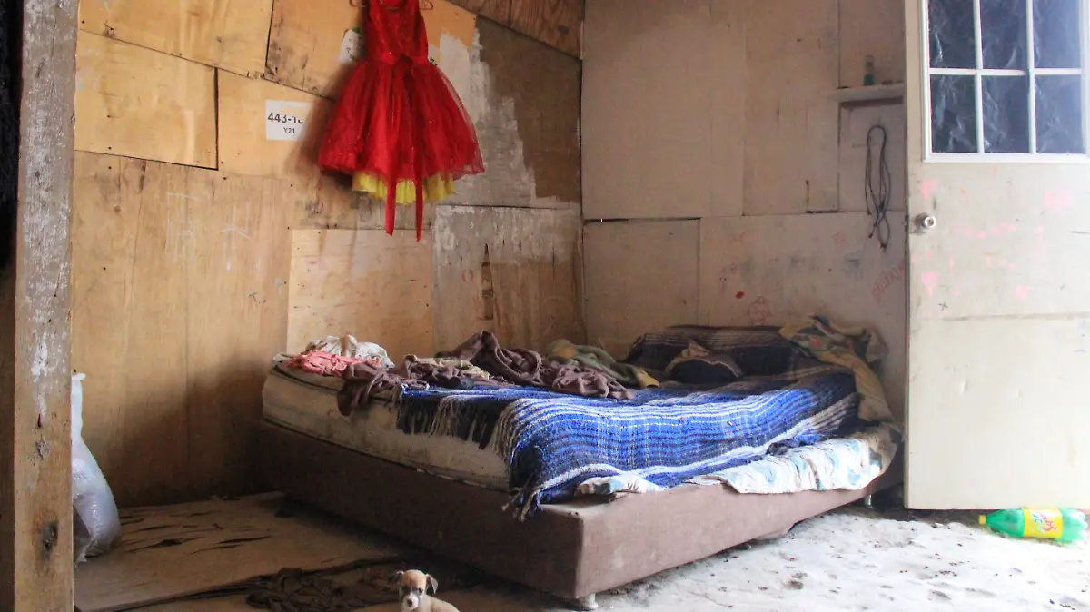 4 y 5 casas carton 4 