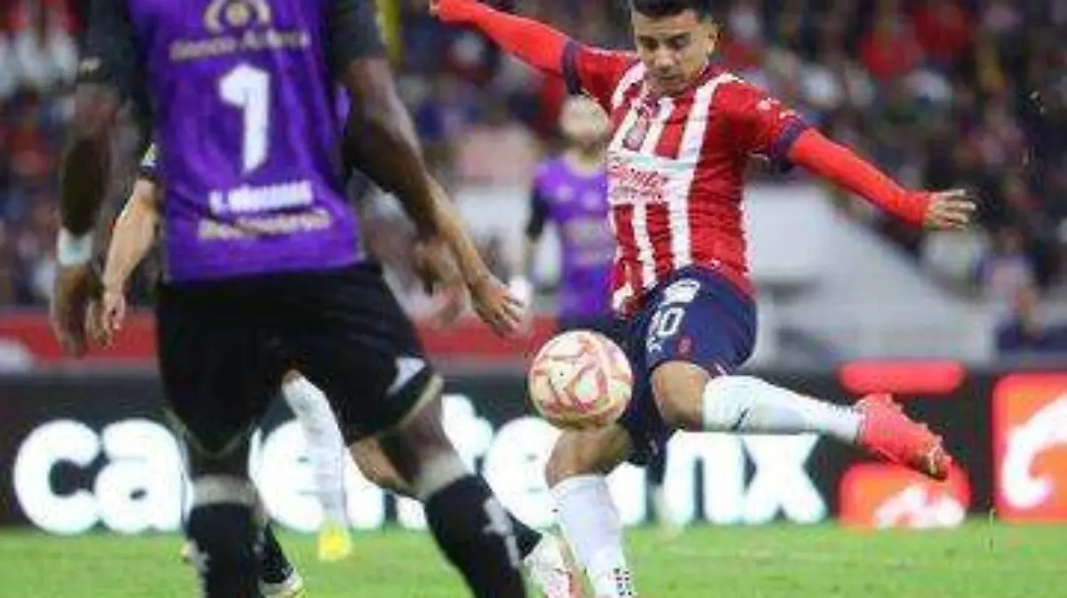 Fernando Beltrán