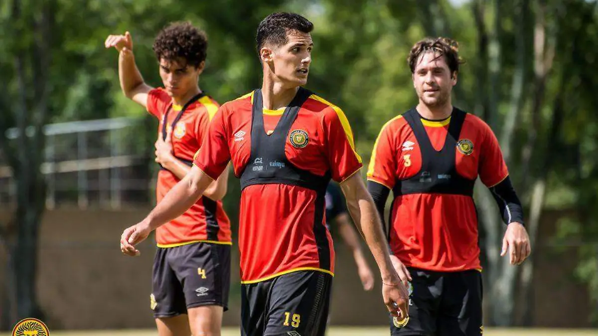 Leones Negros