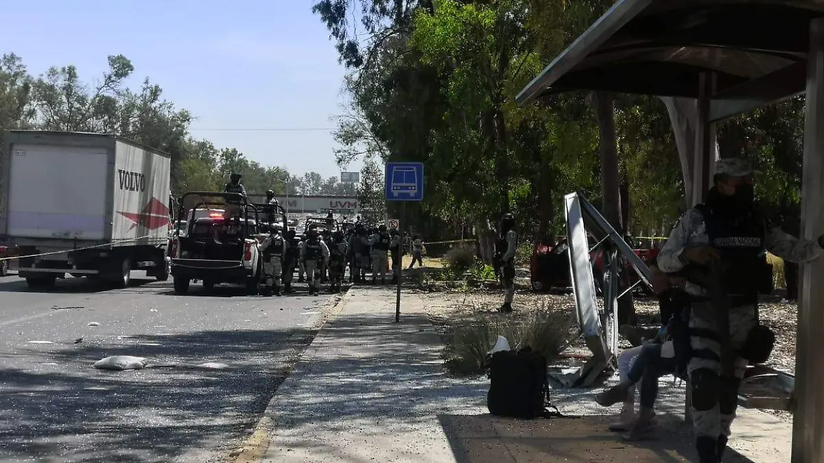 atropello-ciudad-granja