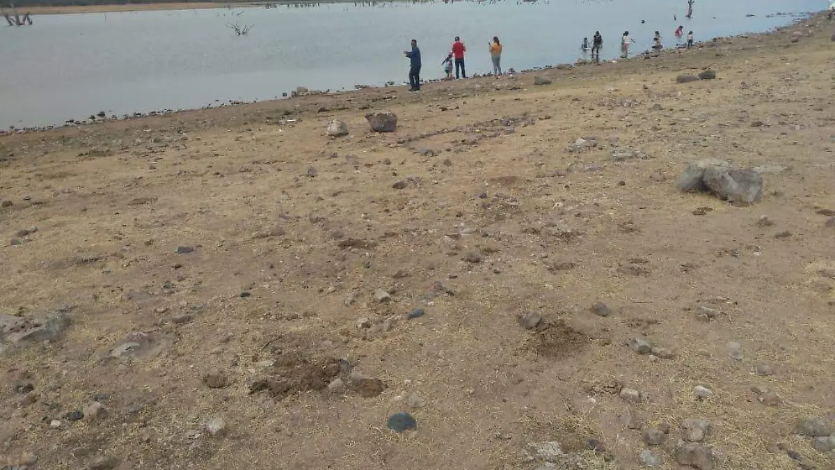 Presa de la Sauceda 1