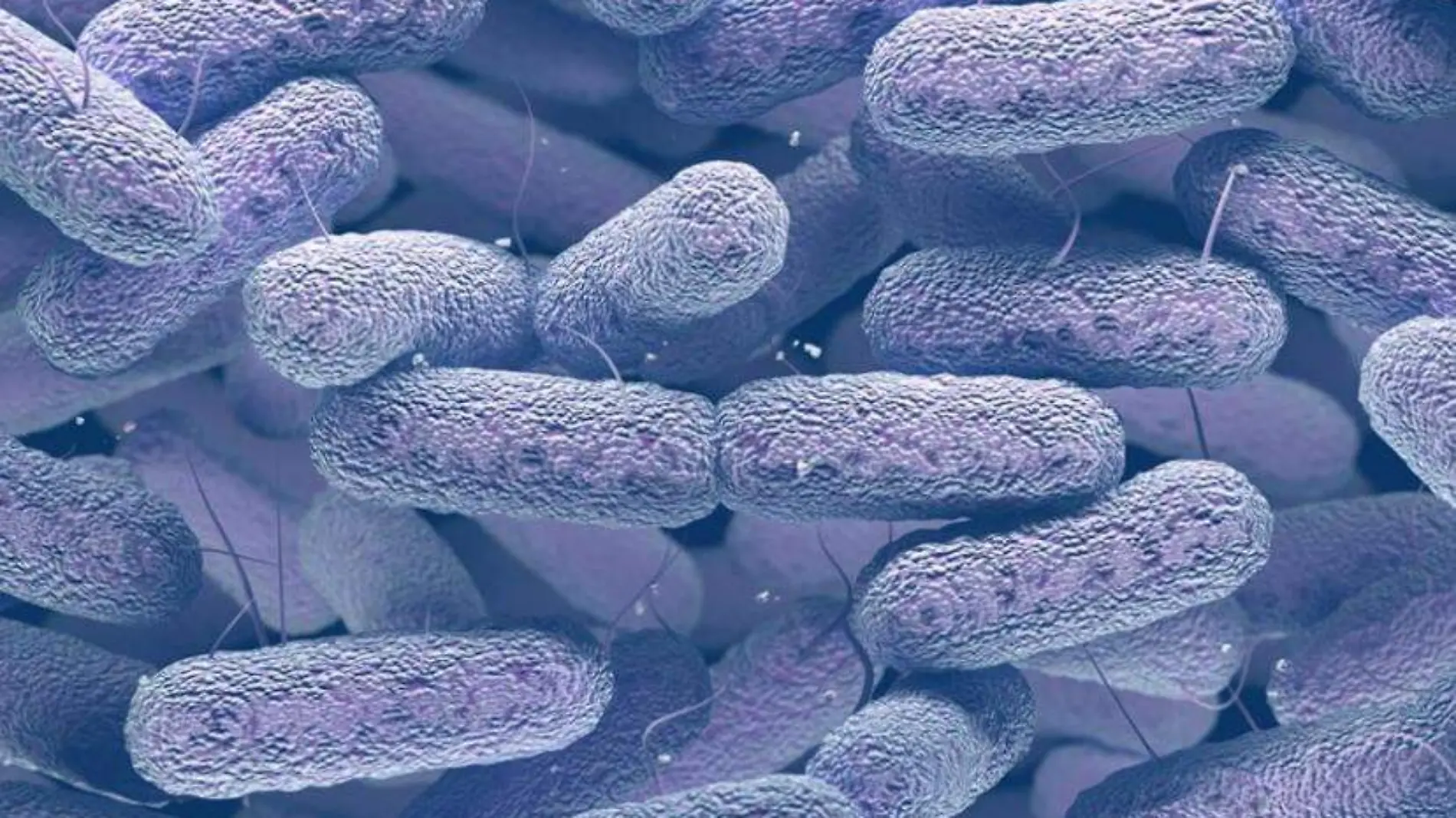 antibiogram-typing-and-biochemical-characterization-of-klebsiella-pneumoniae-after-biofield-treatment-1