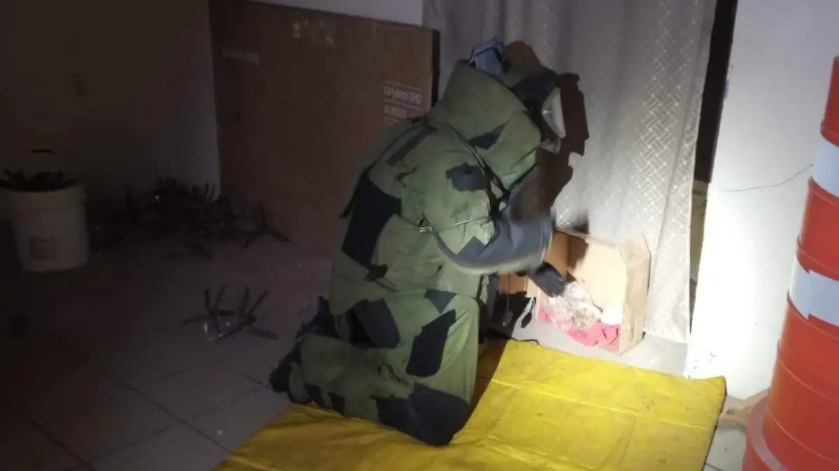 Cortesía Teocaltiche (2)