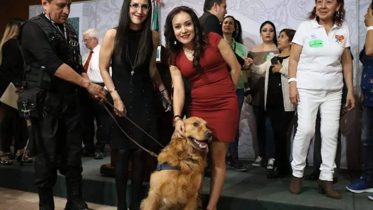 Las diputadas