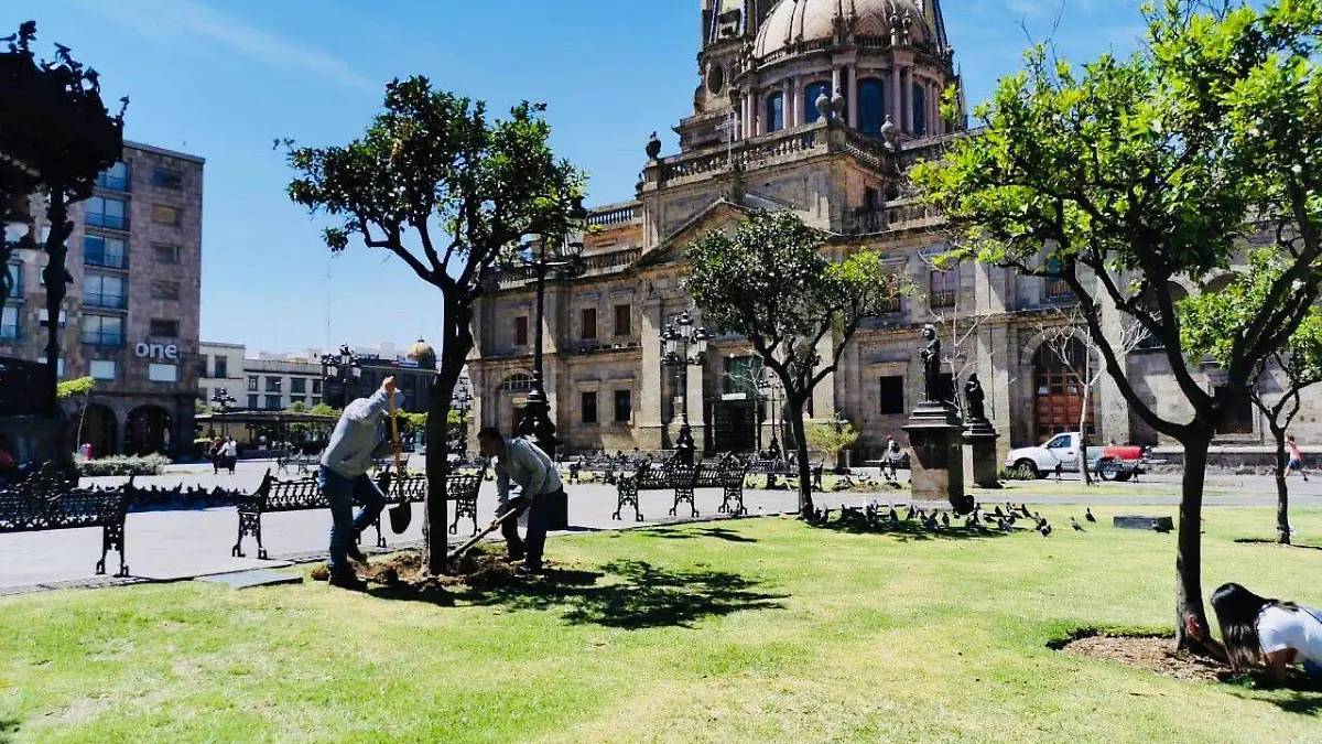 Plaza de Armas