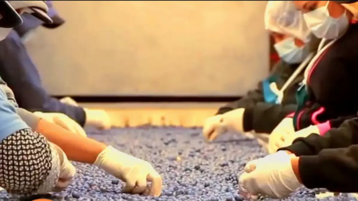 Captura de pantalla 2019-07-26 a la(s) 21.04.04