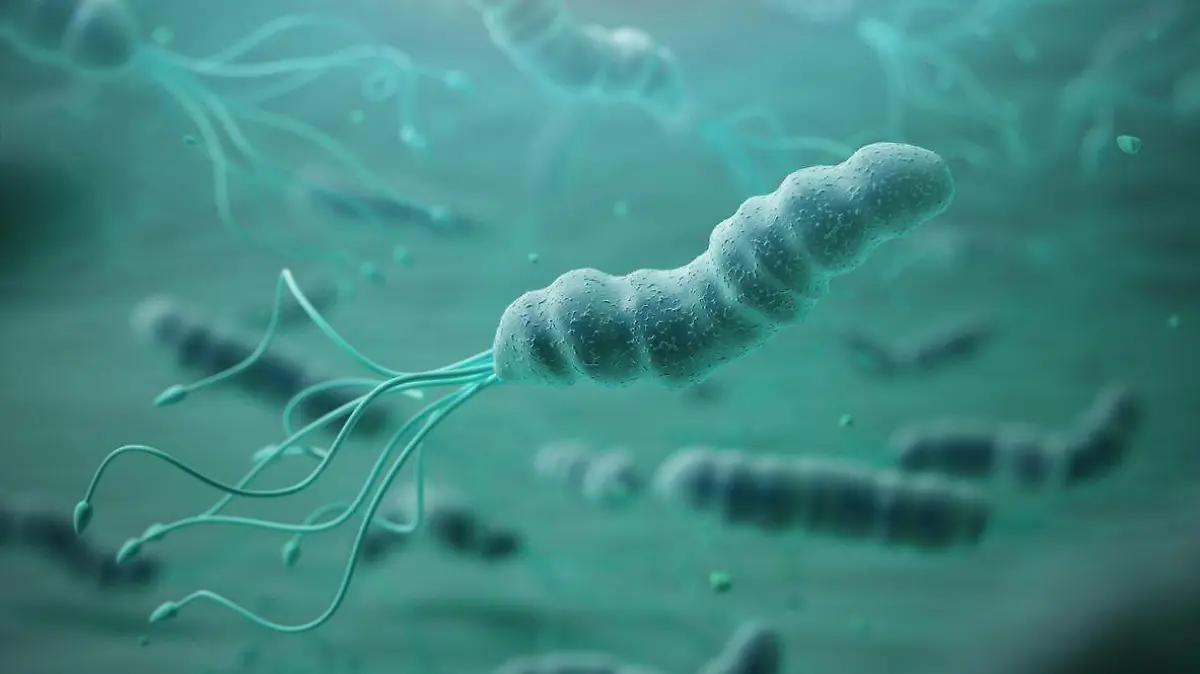 Helicobacter pylori