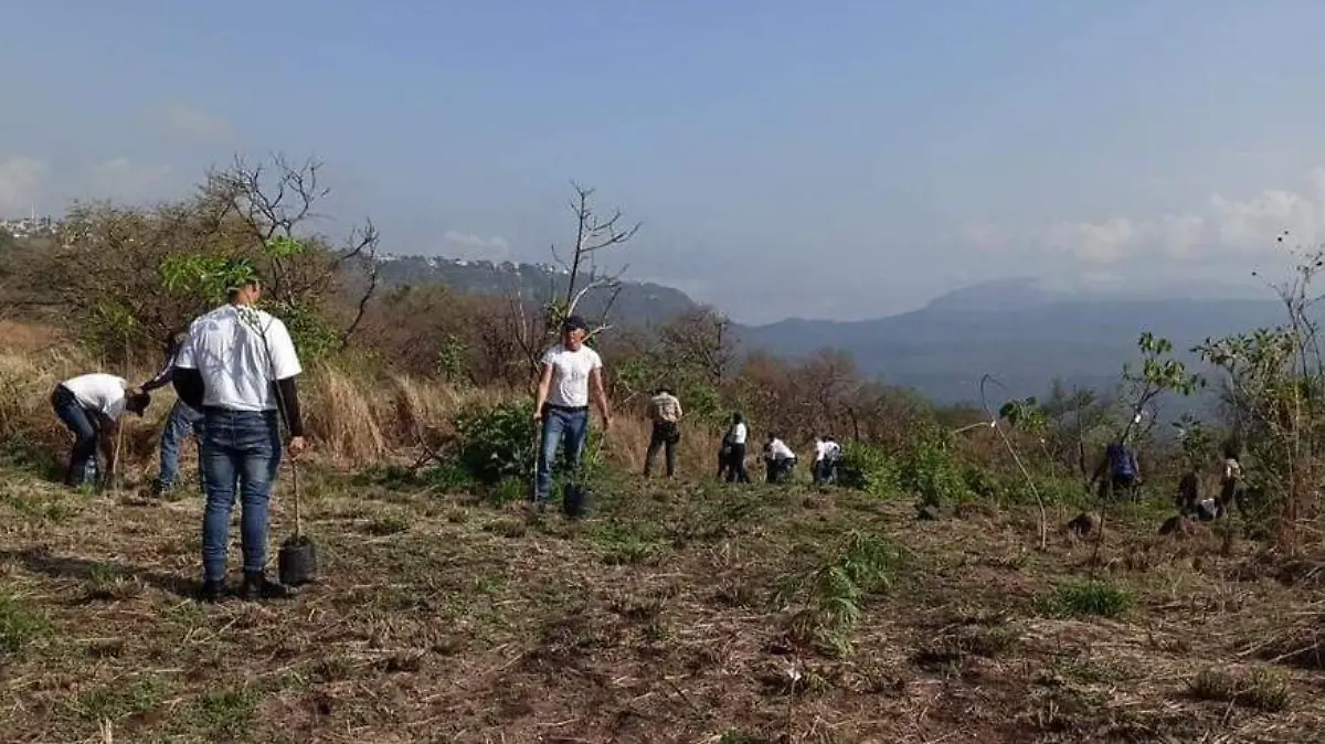 Guardabosques reforestan (2)