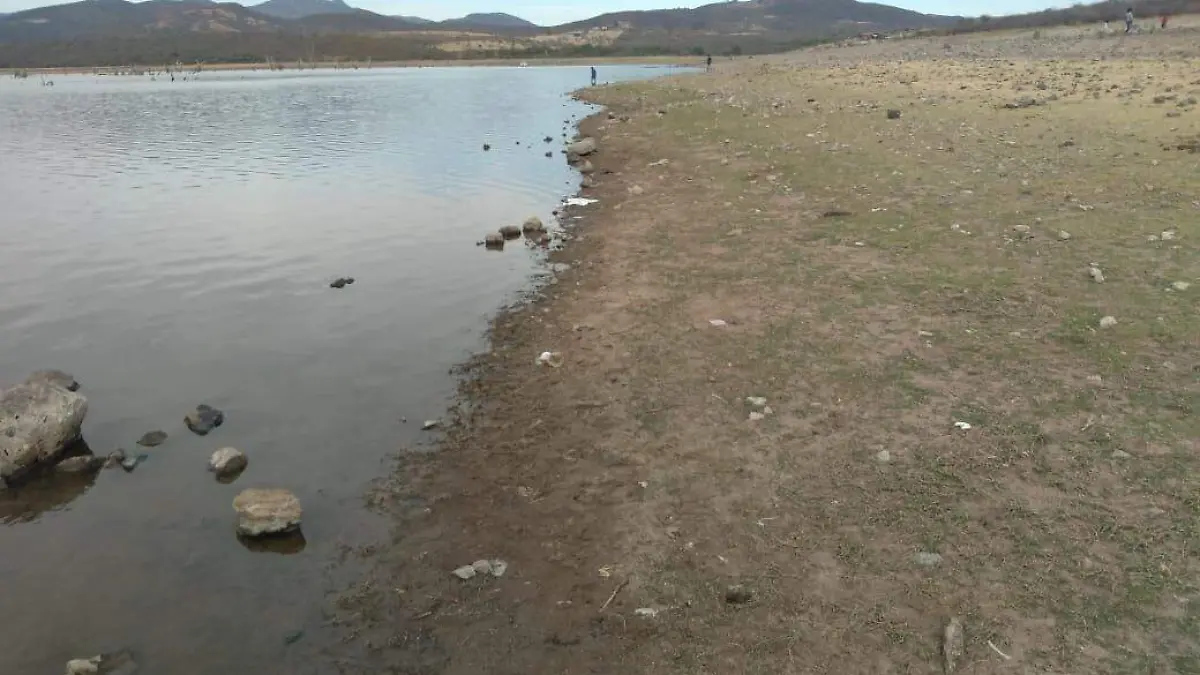 Presa de la Sauceda 5