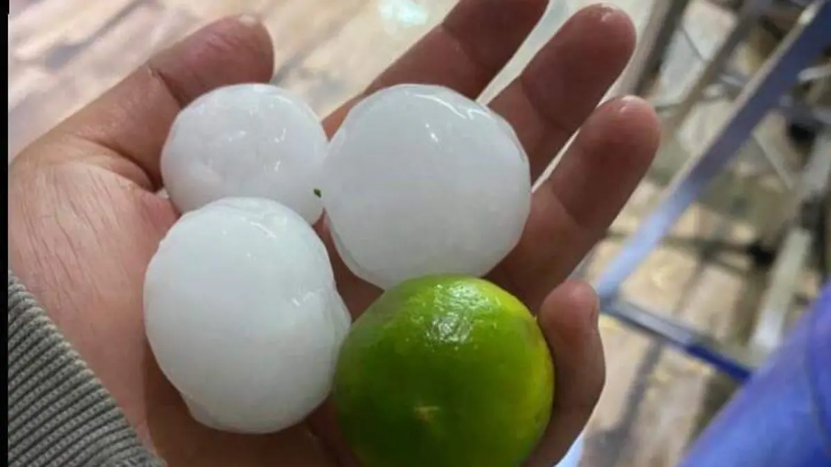 Image 2022-07-12 at 10.42.19 PM