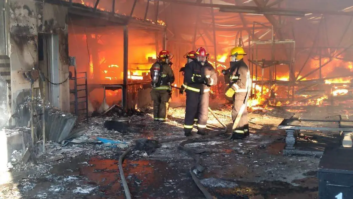 WhatsApp Image 2019-03-28 at 6.18.49 PM