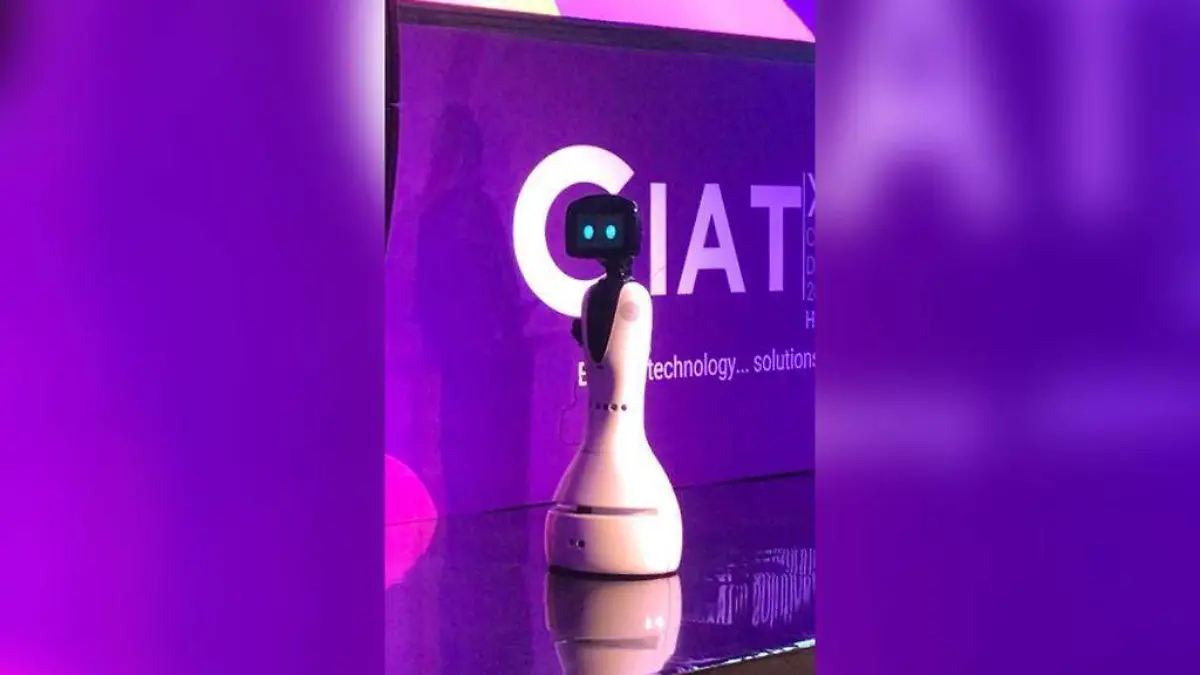 Robot