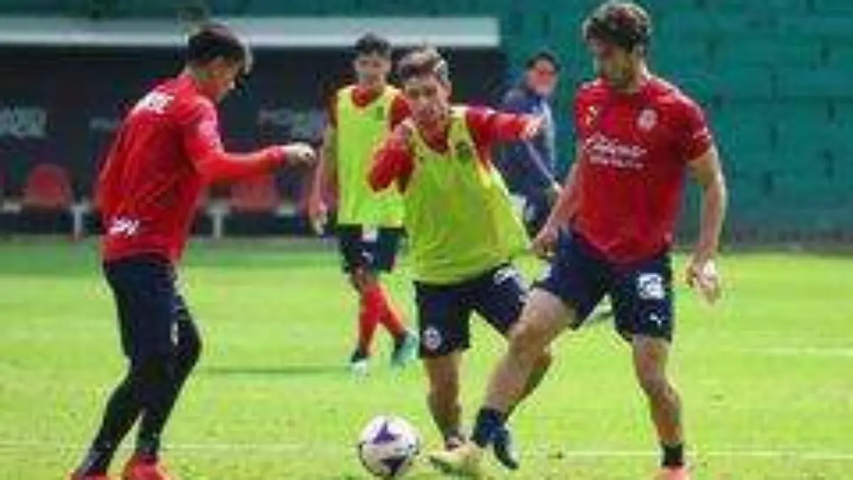 pollo_briseño_chivas