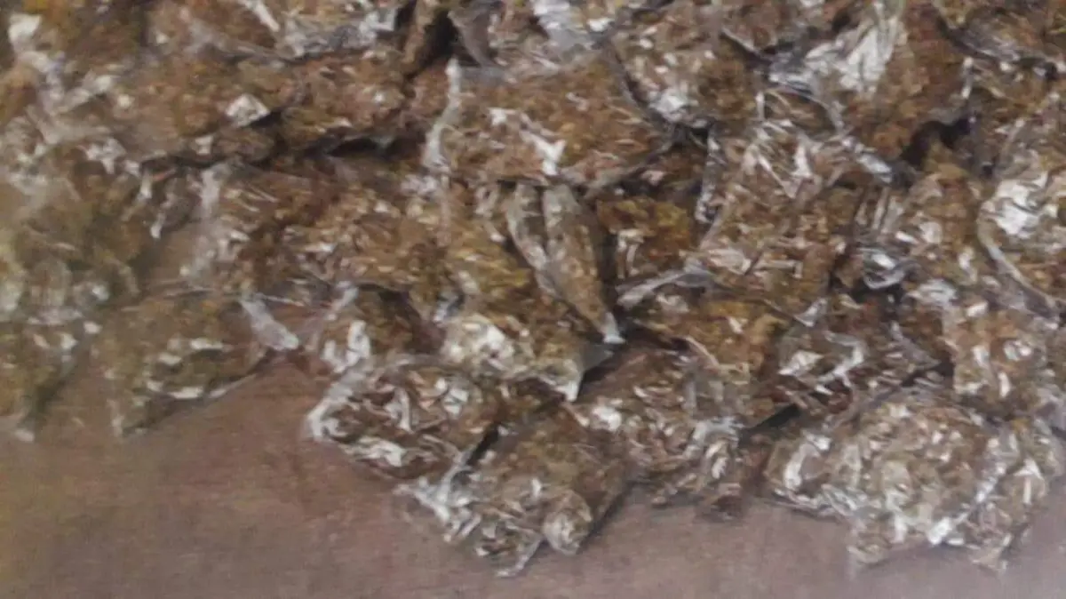 IMG-20191003-WA0037 (1)