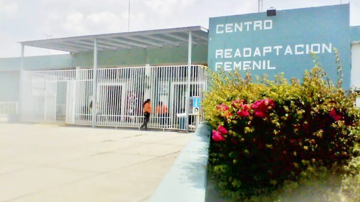 puente grande femenil