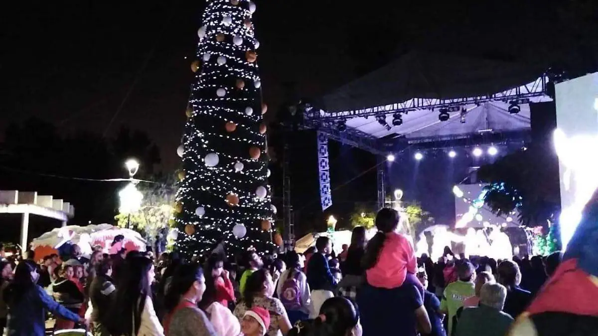 arbol3