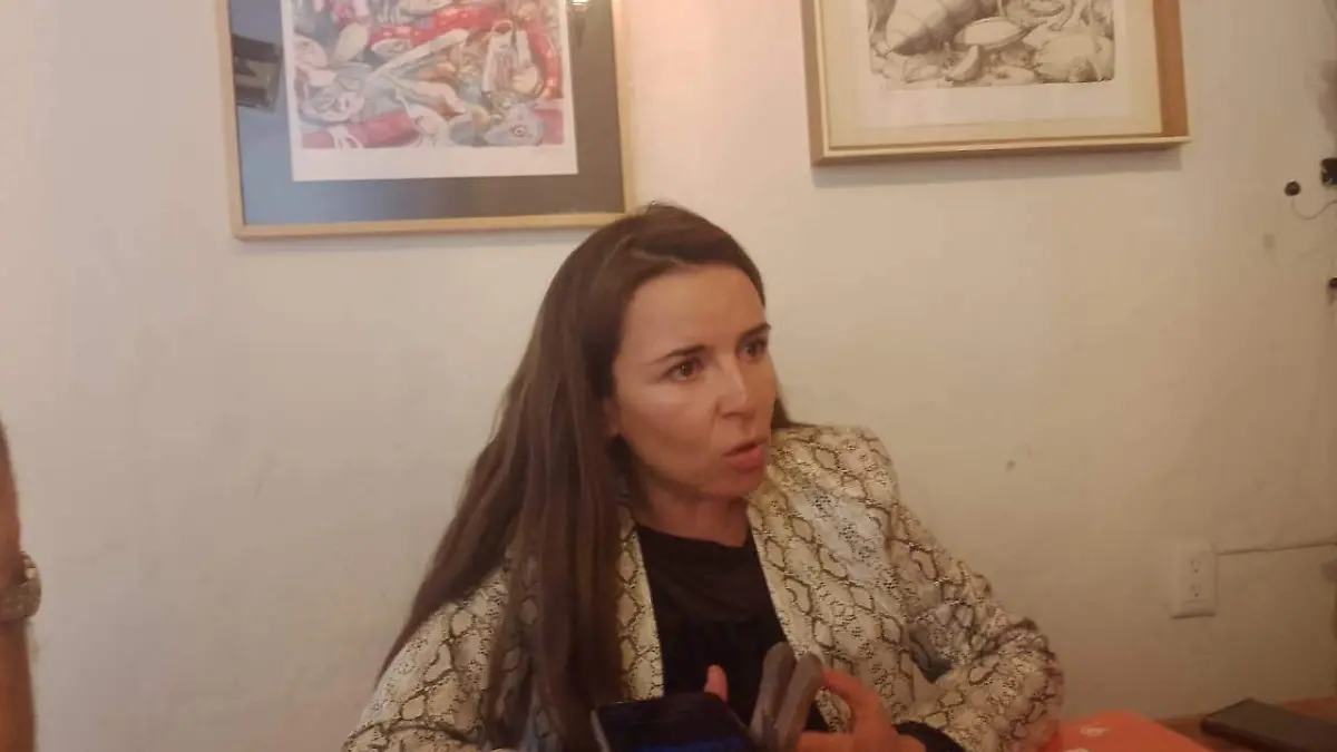 Mc mantiene su postura de votar contra la Reforma Eléctrica