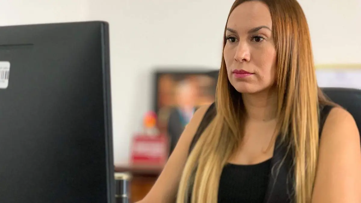 Diputada Erika Pérez García