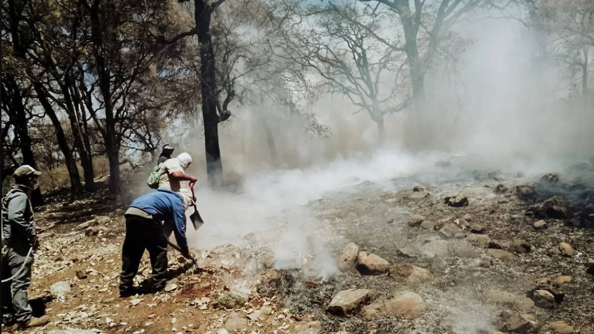 incendio-tepatitlán-2