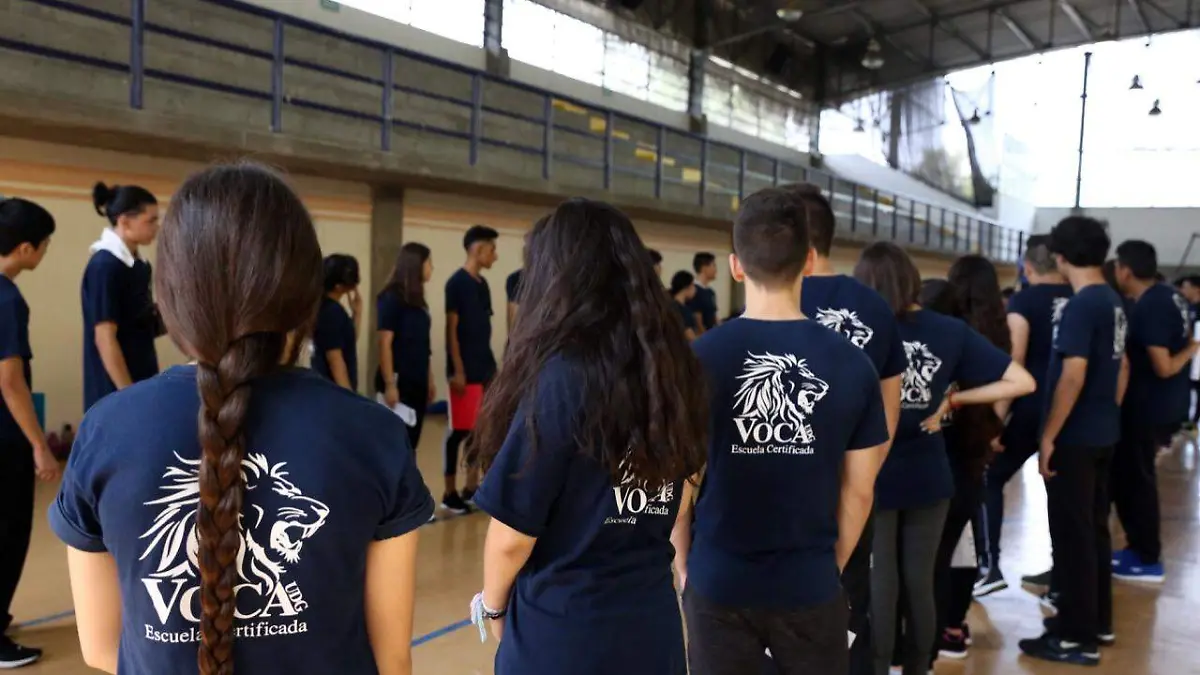 14 vocacional