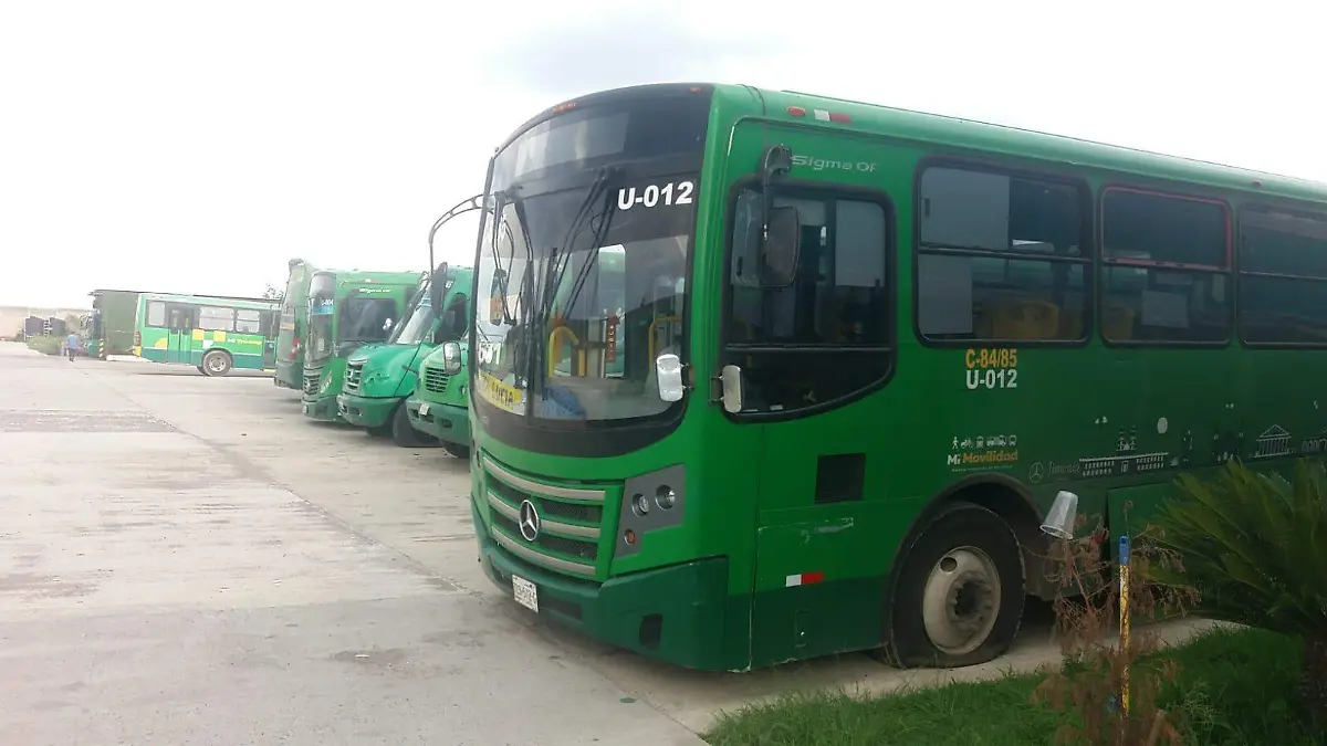 Unidades de transporte