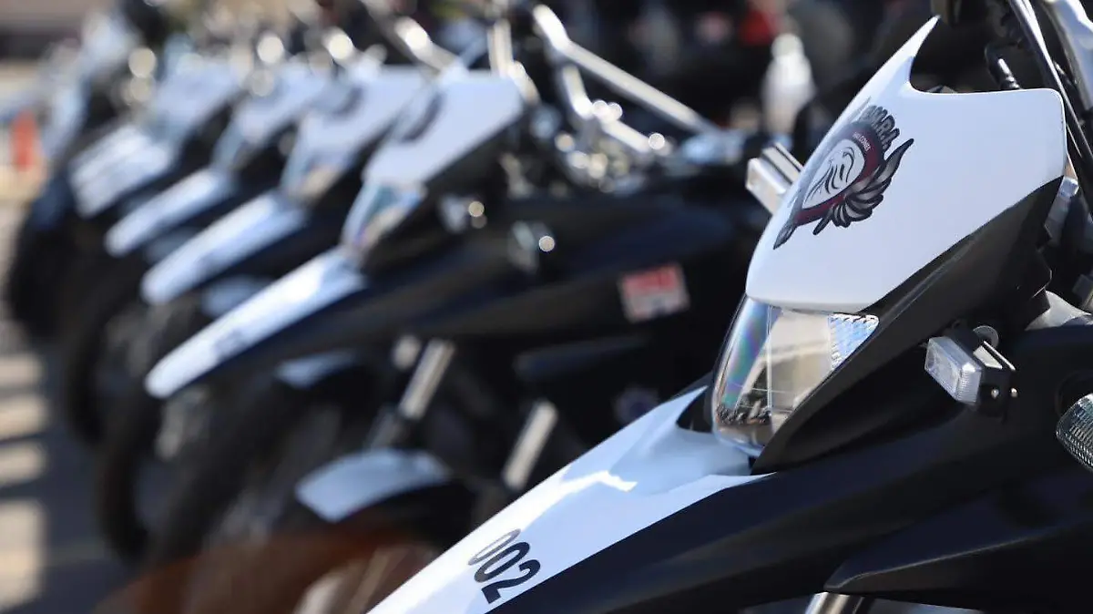 Policía de El Salto