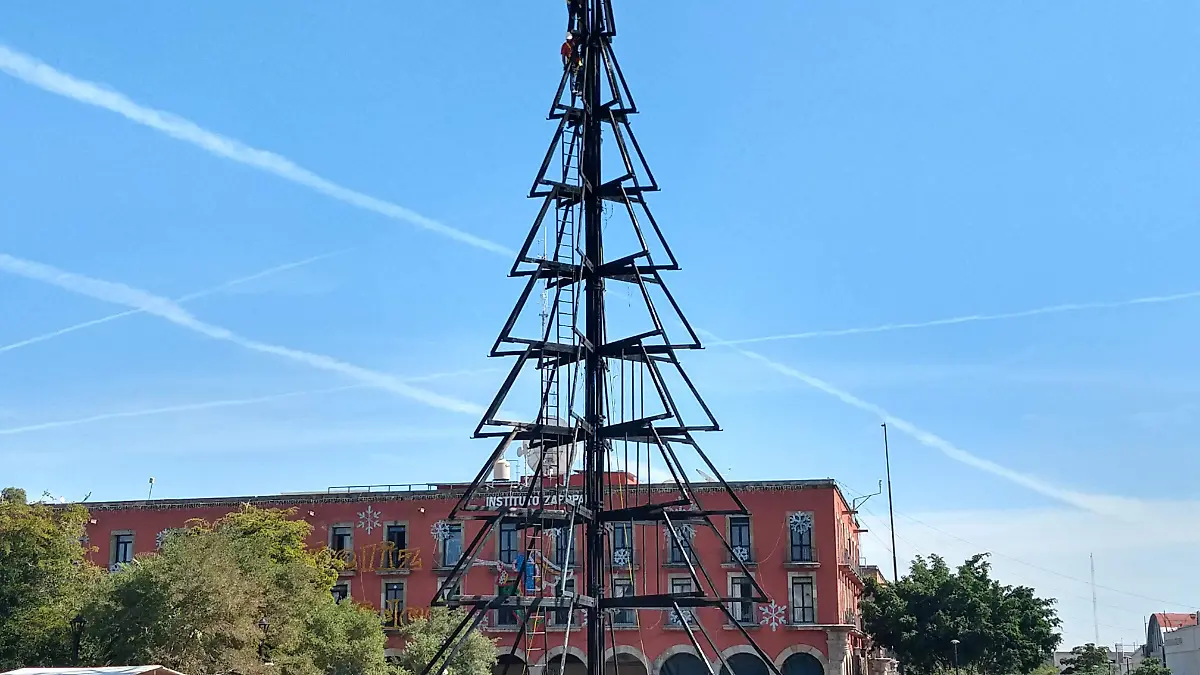 Árbol quemado