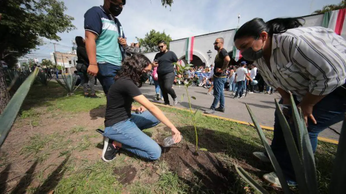 CDA68119-B1F6-40A0-98A9-20CA41C4B2DD