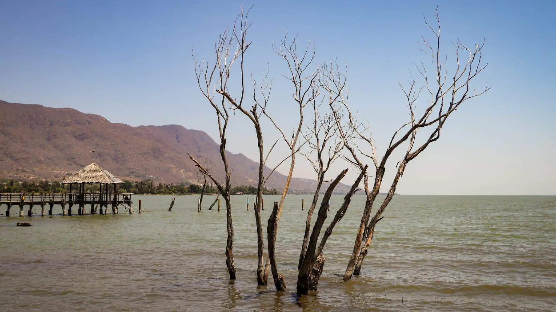 Chapala