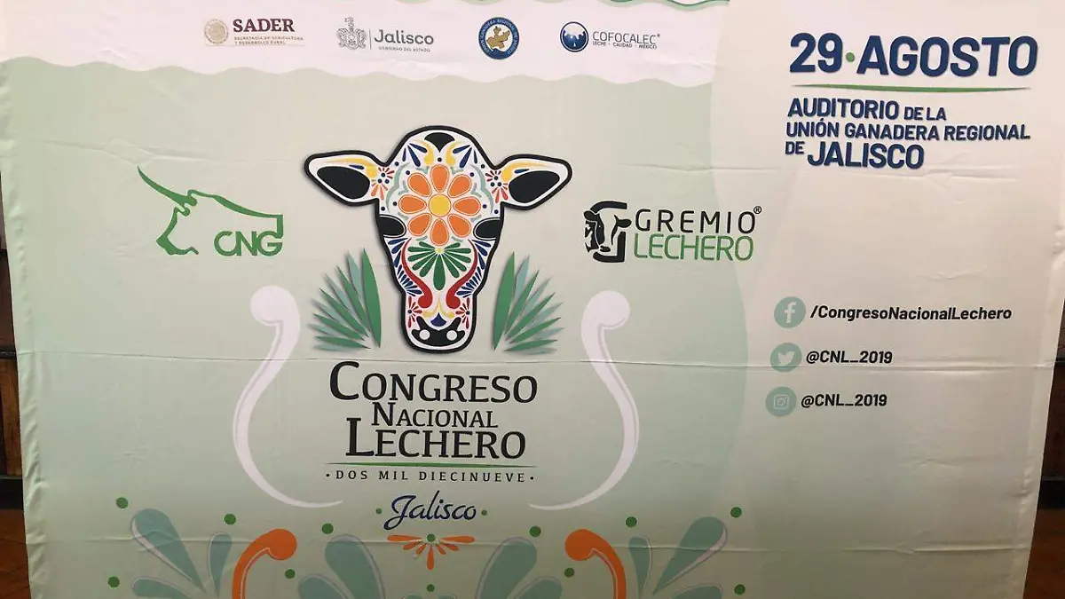 Image 2019-08-20 at 10.49.06 AM