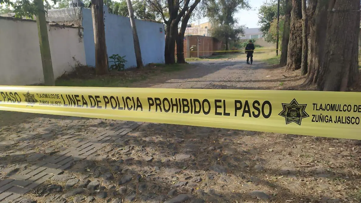 Actualización