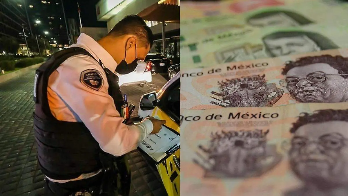 Pago de multas por internet