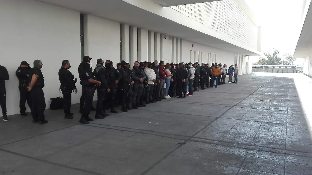Elementos metopolitanos