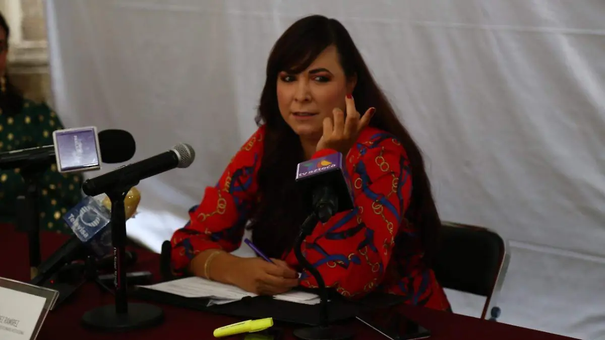 sofía garcía mosqueda_PRI