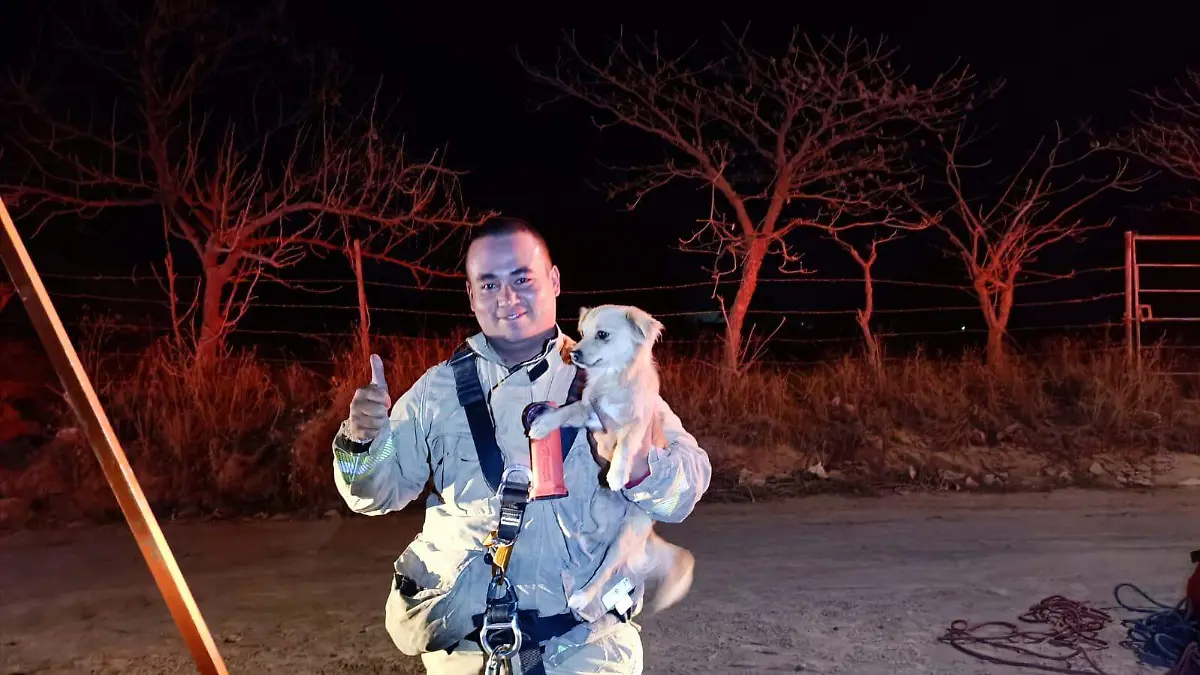 rescatan a perrito-1