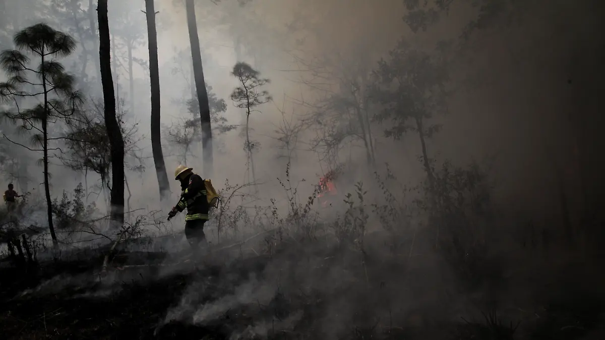 incendio-forestal-jalisco