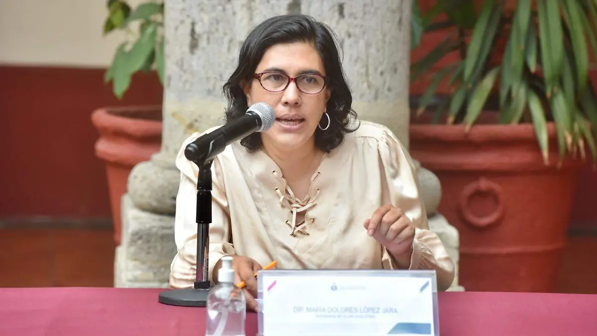 dolores lópez jara - congreso