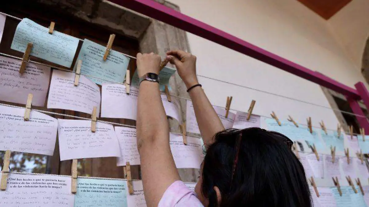 tendedero Museo Cabañas