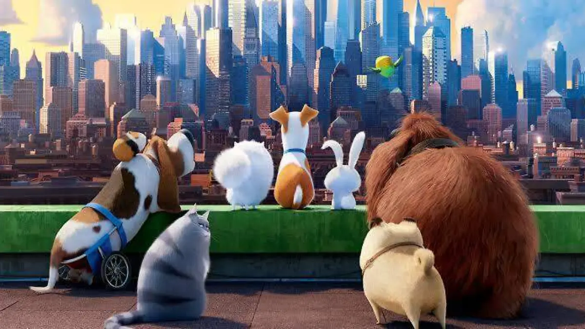 Mascotas 1