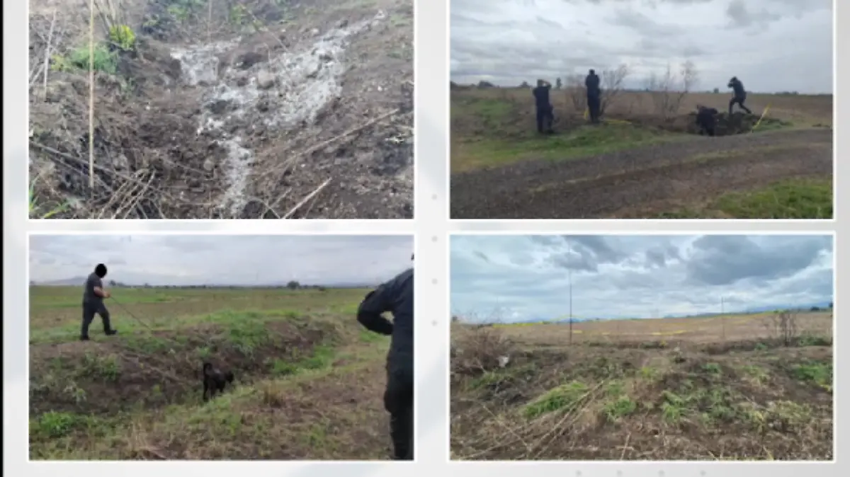 Screenshot_20210706-131944