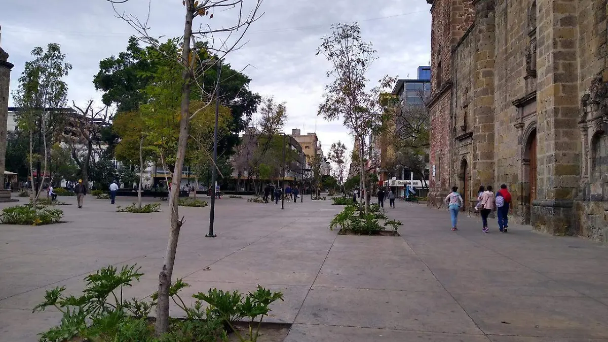 centro_solitario_elizabeth_ríos