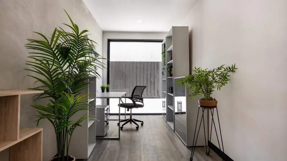 Casas prefabricadas (3)